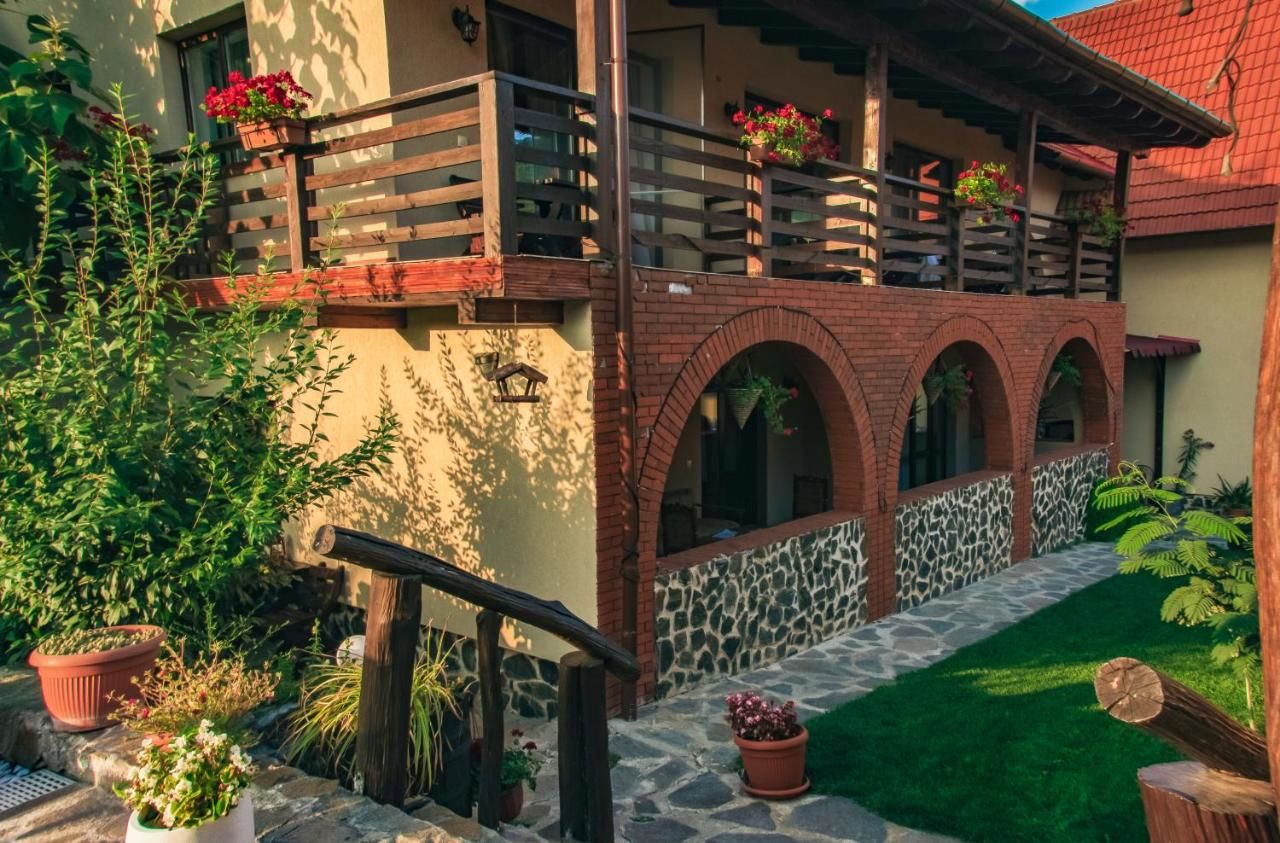 Гостевой дом Casa Dives - Transylvania Pianu de Sus