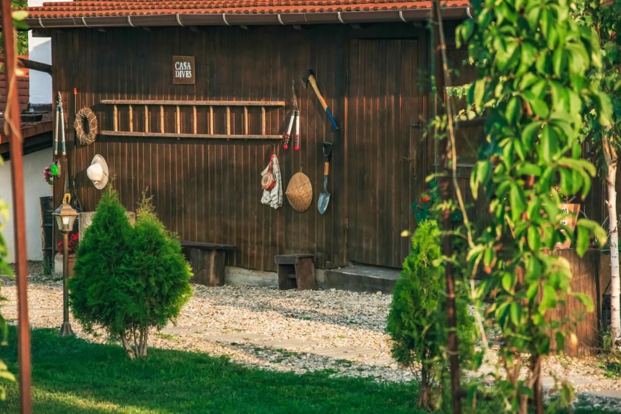 Гостевой дом Casa Dives - Transylvania Pianu de Sus-32