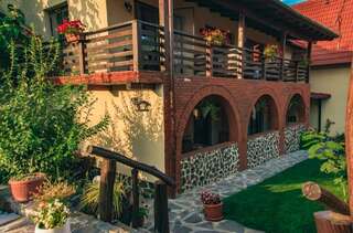 Гостевой дом Casa Dives - Transylvania Pianu de Sus Апартаменты с видом на сад-5